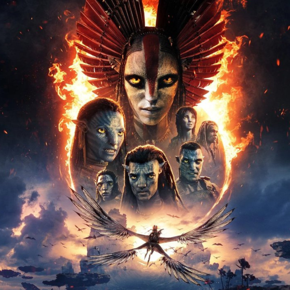 ĮSIKŪNIJIMAS. UGNIS IR PELENAI 3D HFR N-13