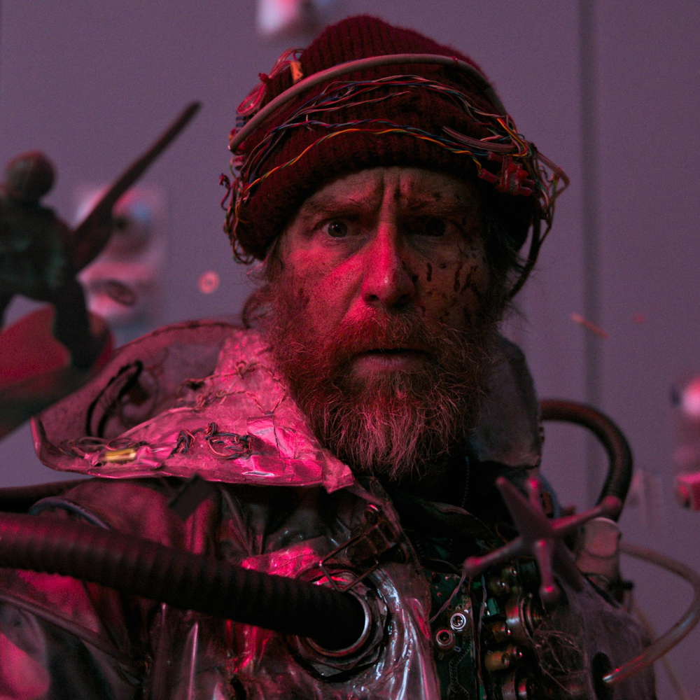 Sėkmės, pasilinksmink, nemirk N-16