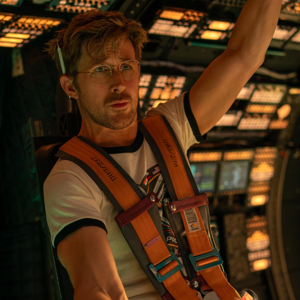 Projektas „Sveika, Marija“ N-13