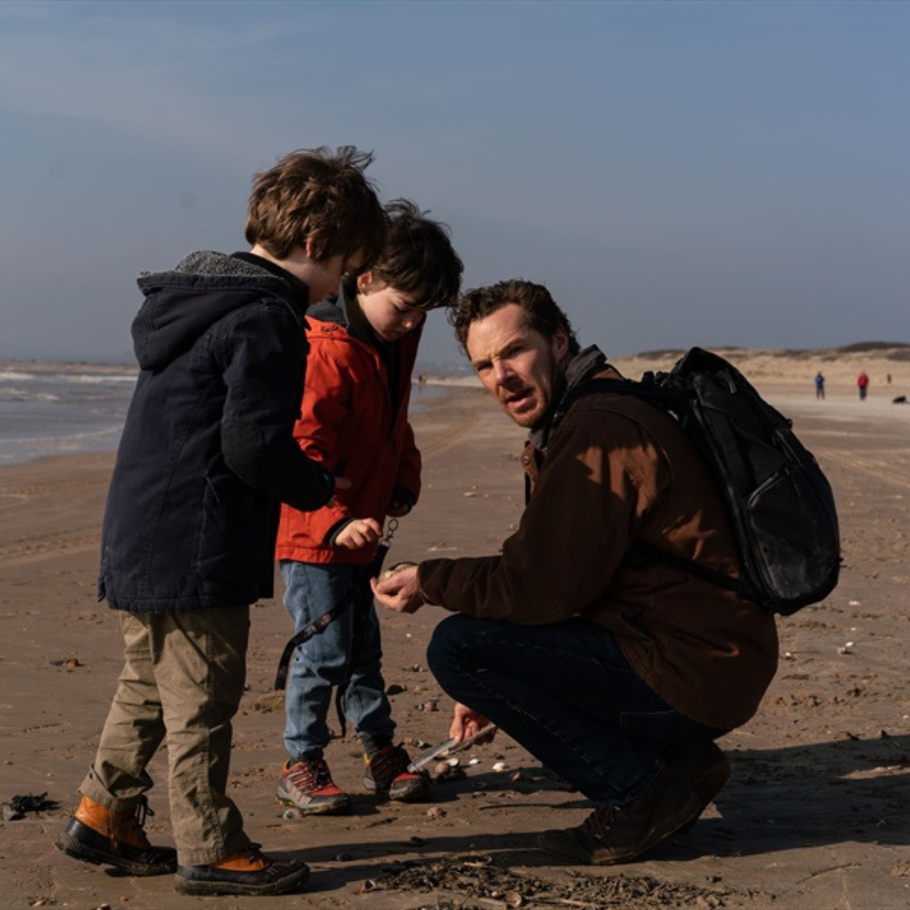 11 (2) Tamsios sielvarto plunksnos N-16