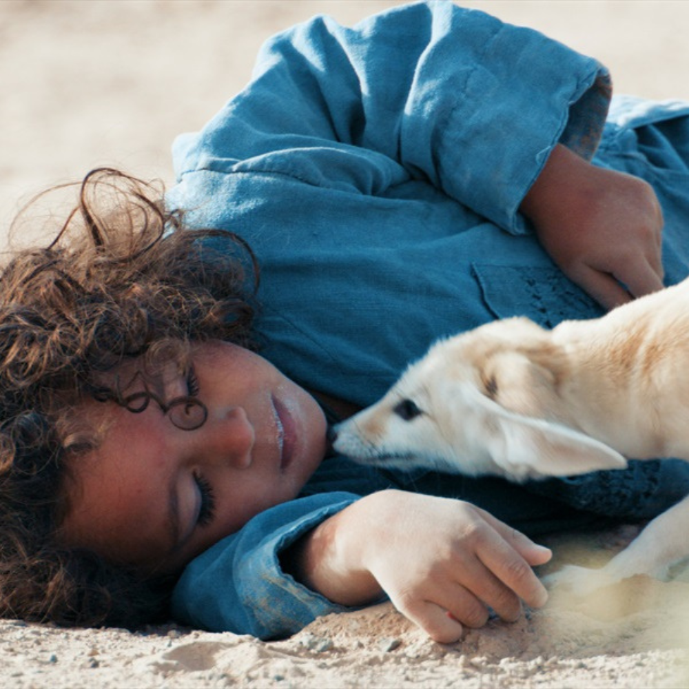 11 Dykumos vaikai N-V