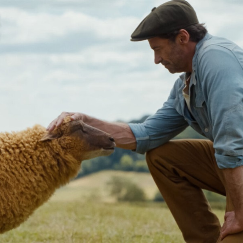 Avys detektyvės N-7