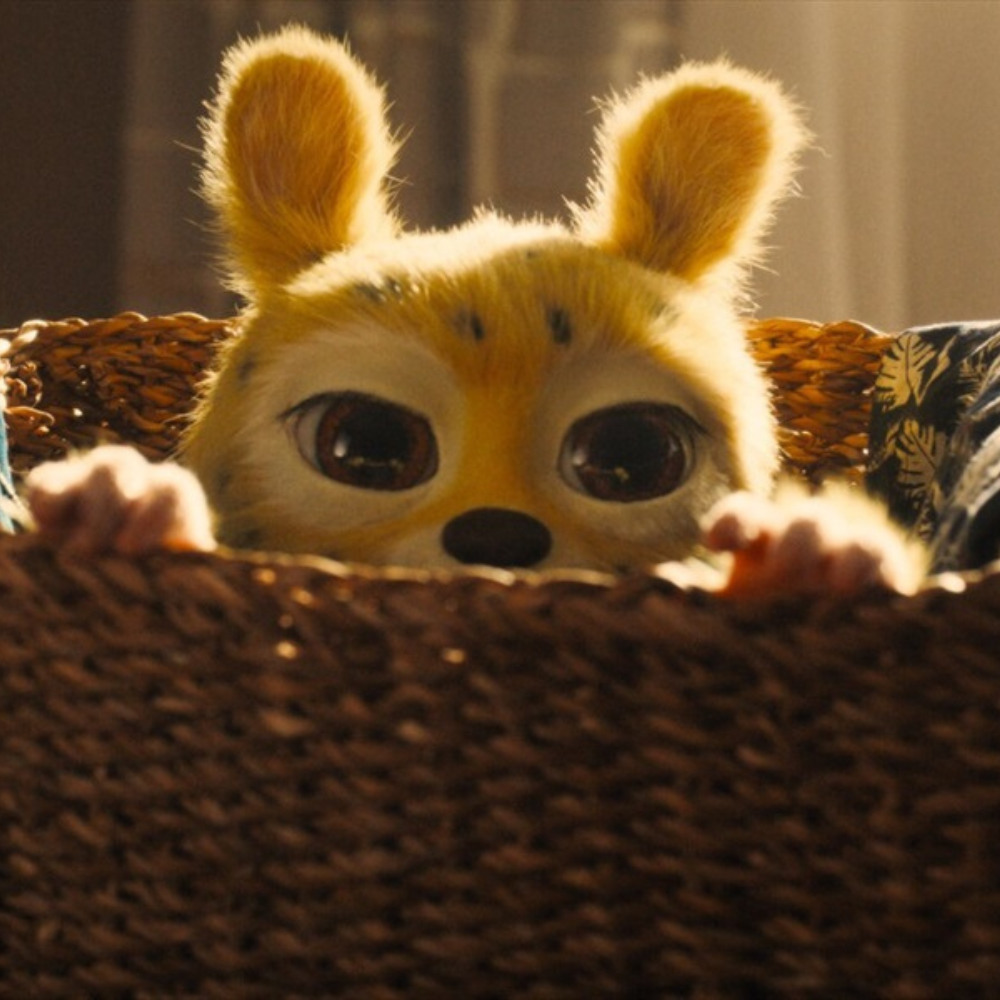 11 (2) Padūkėlis Marsupilamis N-7