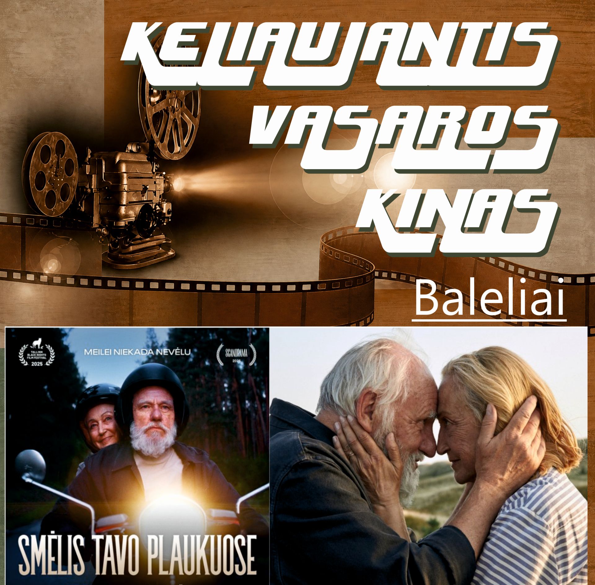 Keliaujantis vasaros kinas